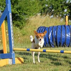 Blanding af racer Poe