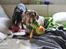 Gravhund Teckels Rusia