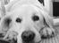 Blanding af racer Misty *R.I.P* <3 - <3