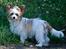 Blanding af racer Bella - 16-07-2014