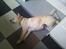 Labrador retriever Mojo