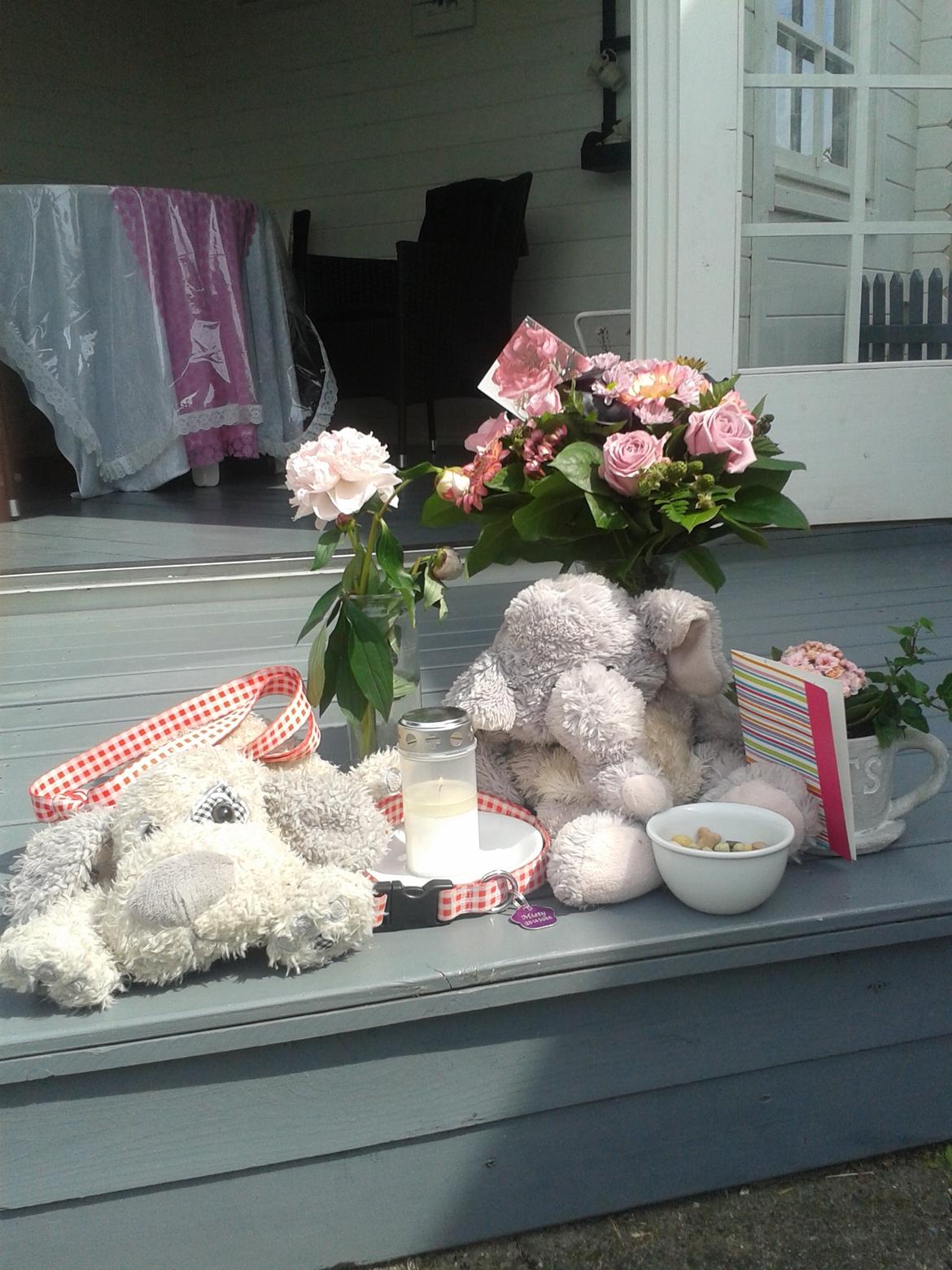 Blanding af racer Misty *R.I.P* <3 - Det sted du sov ind <3 Det sgu pænere end et menneskes gravsted :') <3 <3 Vi tænder lys lige netop her hvor du sov ind HVER aften <3 billede 11