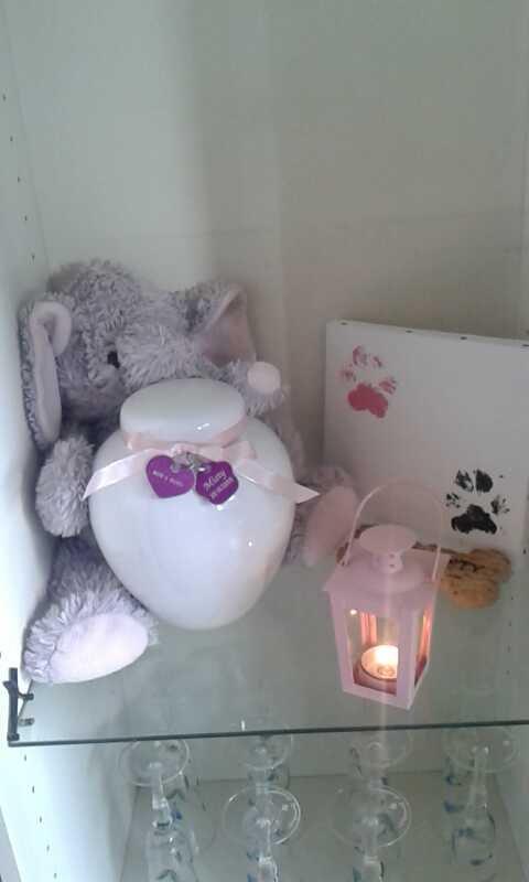 Blanding af racer Misty *R.I.P* <3 - DIN plads i skabet, samme dag du forlod os trykkede jeg dine poter ned på et lærred :') <3 billede 12