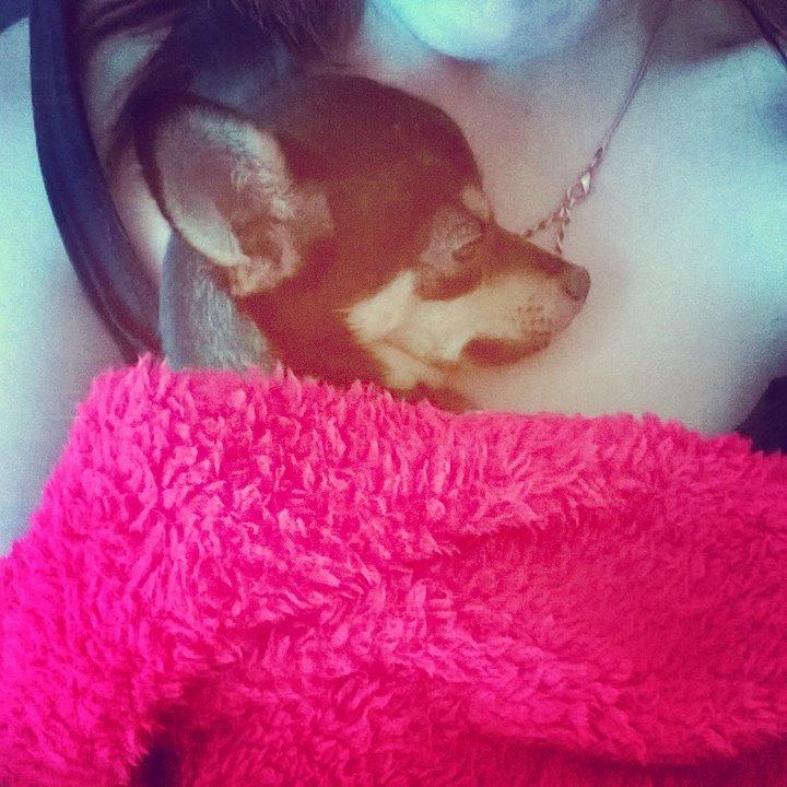 Blanding af racer Chanel billede 9