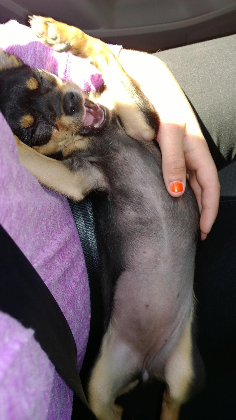 Blanding af racer Chanel billede 18