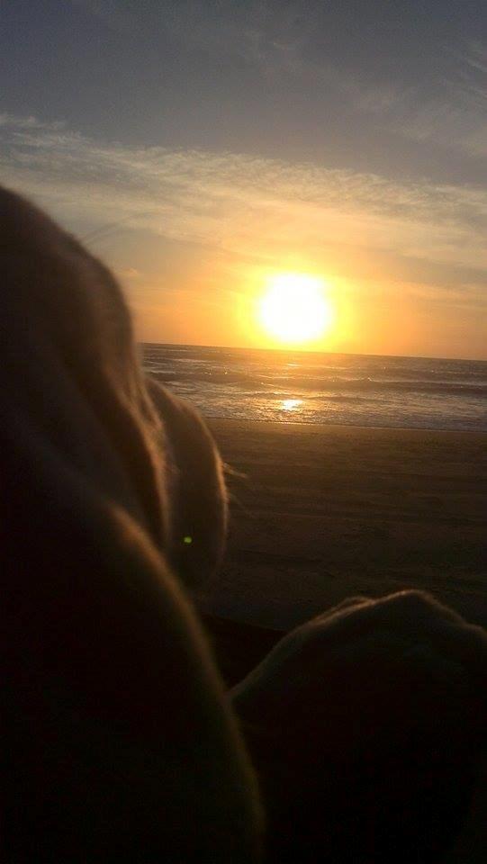 Labrador retriever Micha Mi Diamante - micha kigger på solnedgangen billede 21