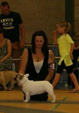 Fransk bulldog Bullystyle's Miss Personality billede 40