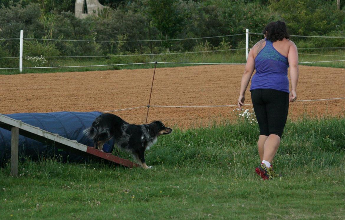 Blanding af racer Merci 6 år <3 billede 45