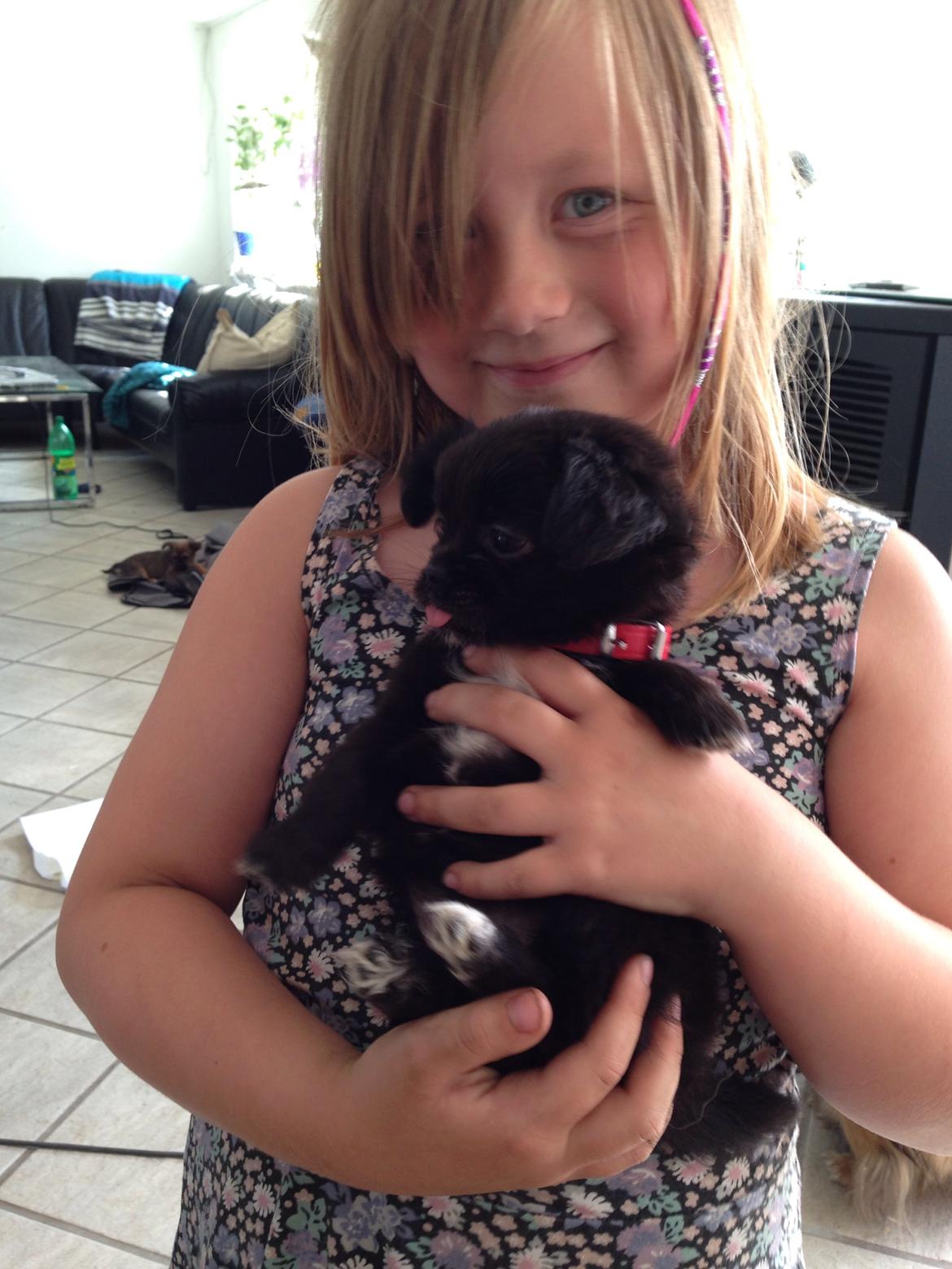 Blanding af racer Lady billede 3