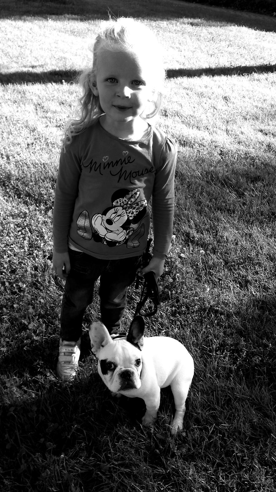 Fransk bulldog Amazing Shawn ( Spotty ) billede 22