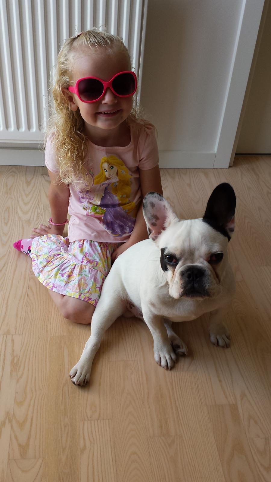 Fransk bulldog Amazing Shawn ( Spotty ) - Spotty 6 mdr , Emma 3 år  billede 26