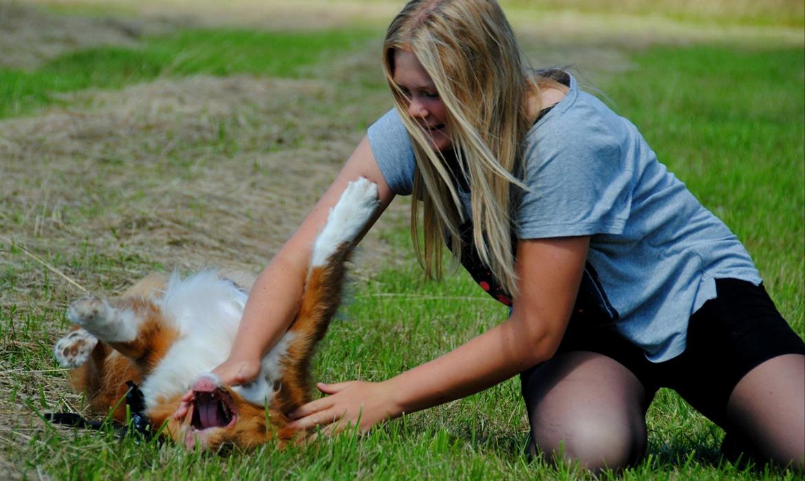 Nova scotia duck tolling retriever Leica - Vi leger.. Hun gøre mig bare så glad! <3<3  (Taget af: en veninde, hun hedder Emma) billede 15