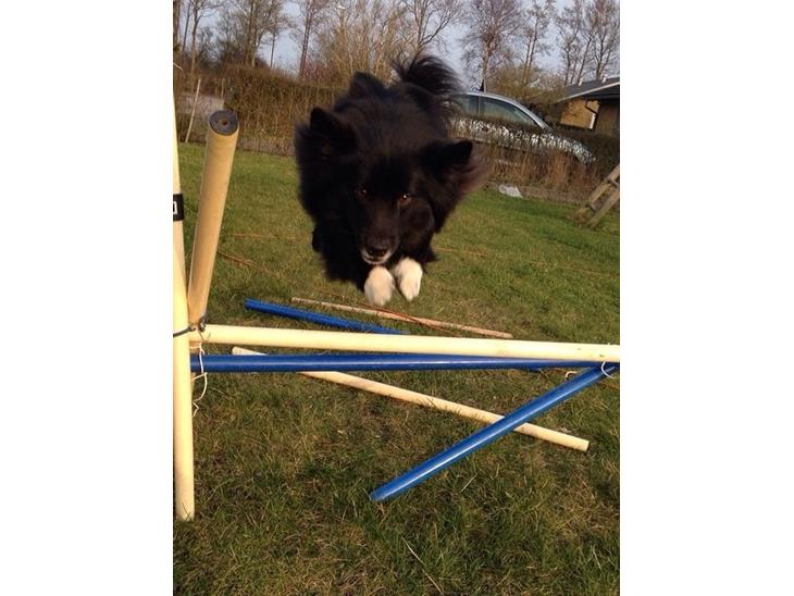 {{currentPhoto.altText}} billede {{currentPhoto.number}}