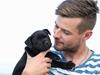 Staffordshire bull terrier Stakstons Lola Montez