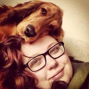 Cocker spaniel Bastian