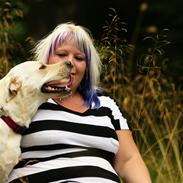 Labrador retriever Mathilde