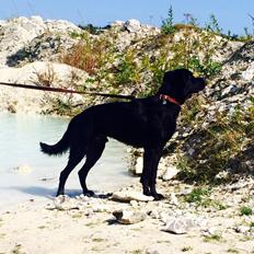 Blanding af racer Tyson