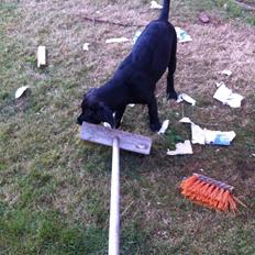 Blanding af racer Aura