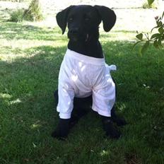 Blanding af racer Aura