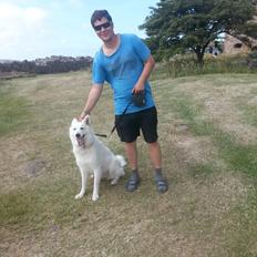 Hvid schæfer Smilla