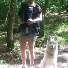 Hvid schæfer Smilla