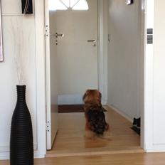 Blanding af racer Jackline R.I.P D.19/7-13