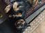 Rottweiler Mollie<3 |Molsen|<3 R.I.P Min trold..<3