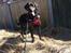 Blanding af racer Tayson