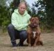 Olde english bulldogge Kingbull´s Cera
