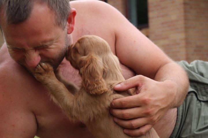 Cavalier king charles spaniel Molly - Ja selv de '' hårdste'' bannaner kan skrælles<3 billede 9