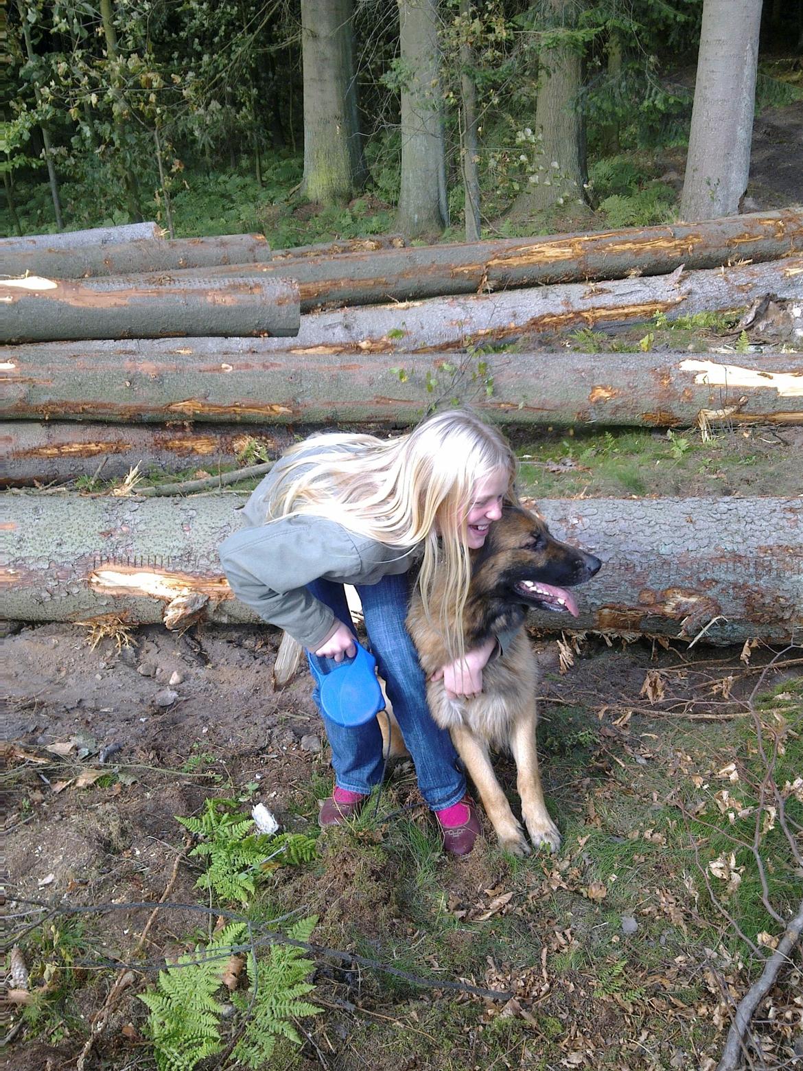 Schæferhund Freja billede 27