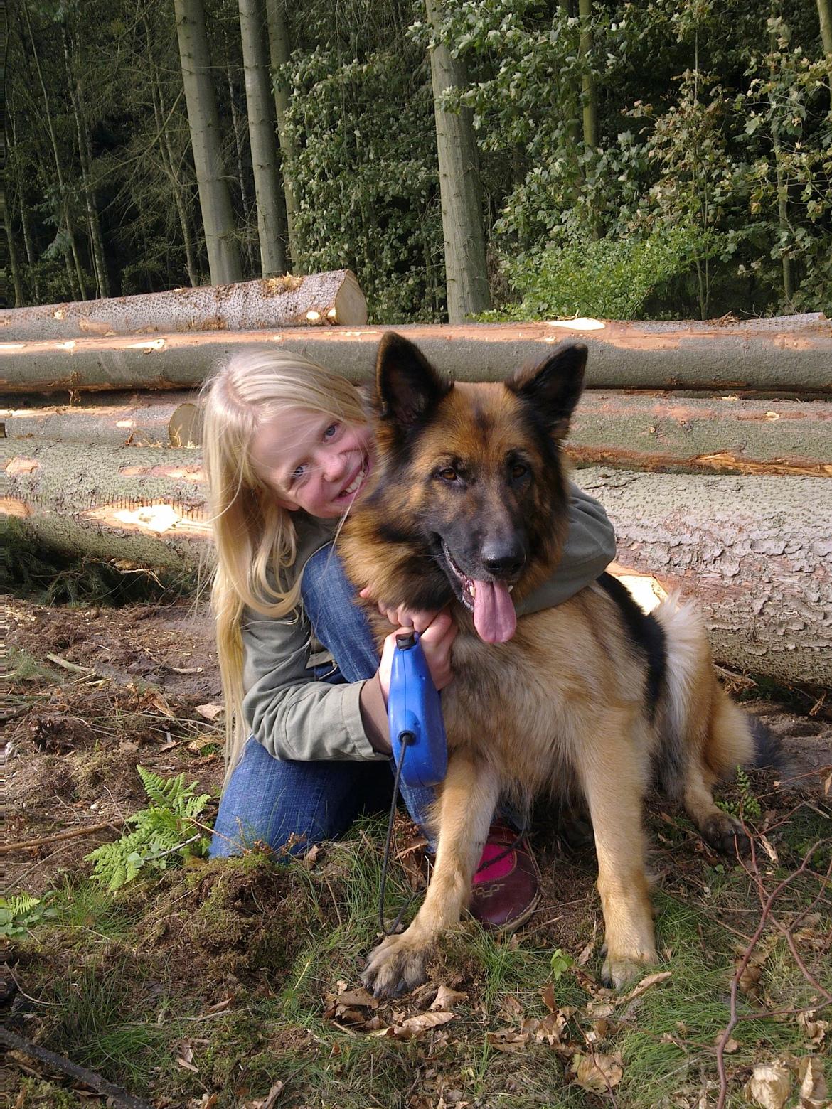 Schæferhund Freja billede 28