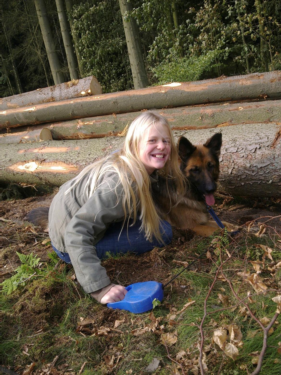 Schæferhund Freja billede 29