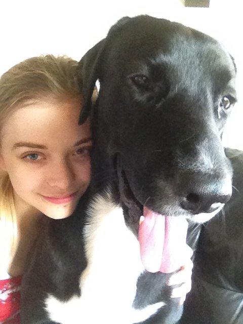 Blanding af racer Kenzo - Mig og Kenzo billede 7