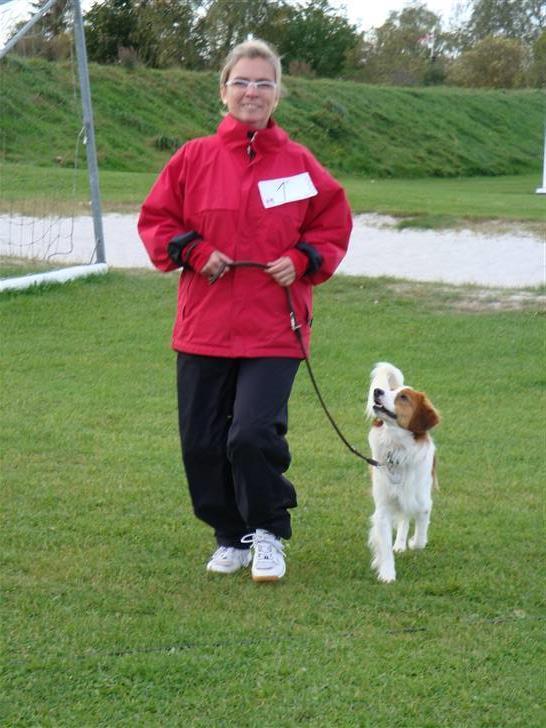 Kooikerhondje Vitovanis Bernardo De Bel Tar billede 8