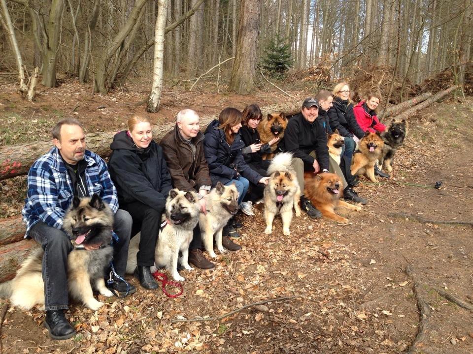 Eurasier Sally - Eurasier træf i Geelskoven, feb, 2014 billede 33