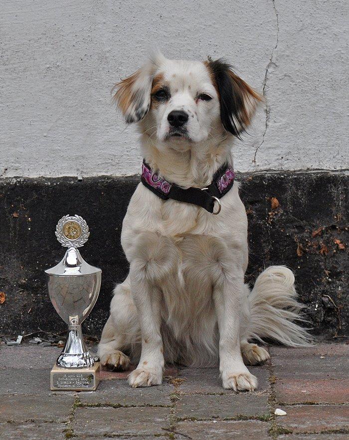 Blanding af racer Kaia billede 24