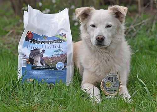 Blanding af racer Bamse billede 13