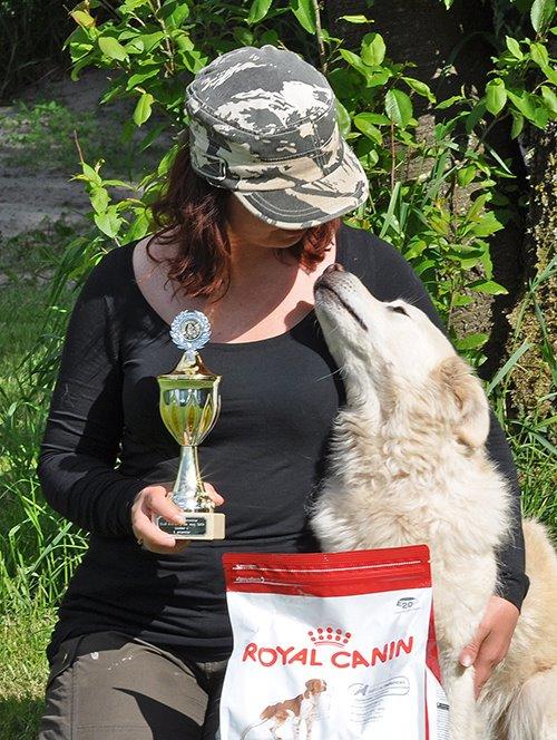 Blanding af racer Bamse billede 11