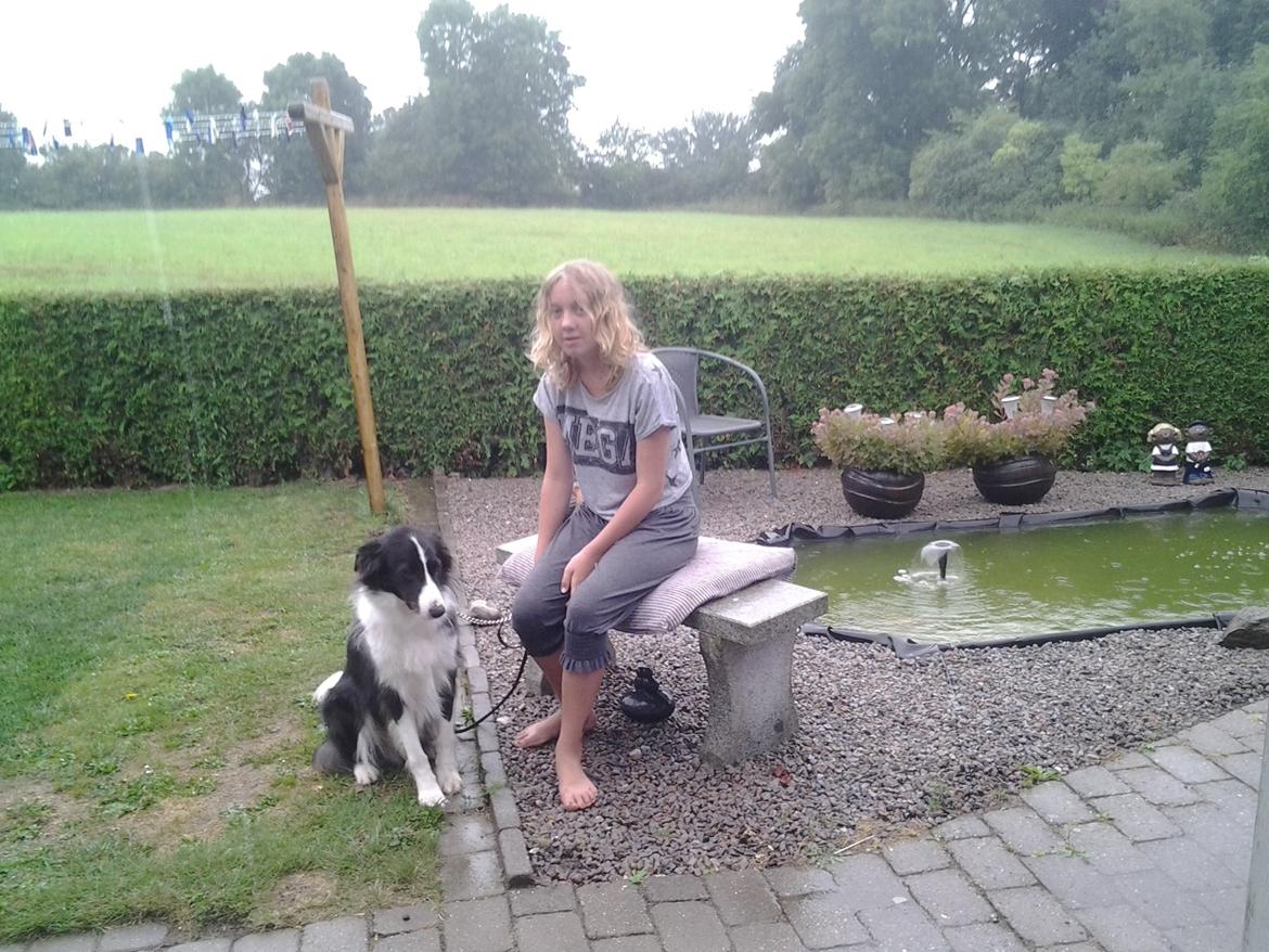 Border collie Kato - Mig og Kato nyder at det regner. billede 4