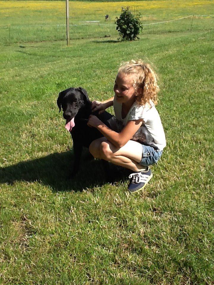 Labrador retriever Ricko - Ricko og mig <3 2014 billede 7