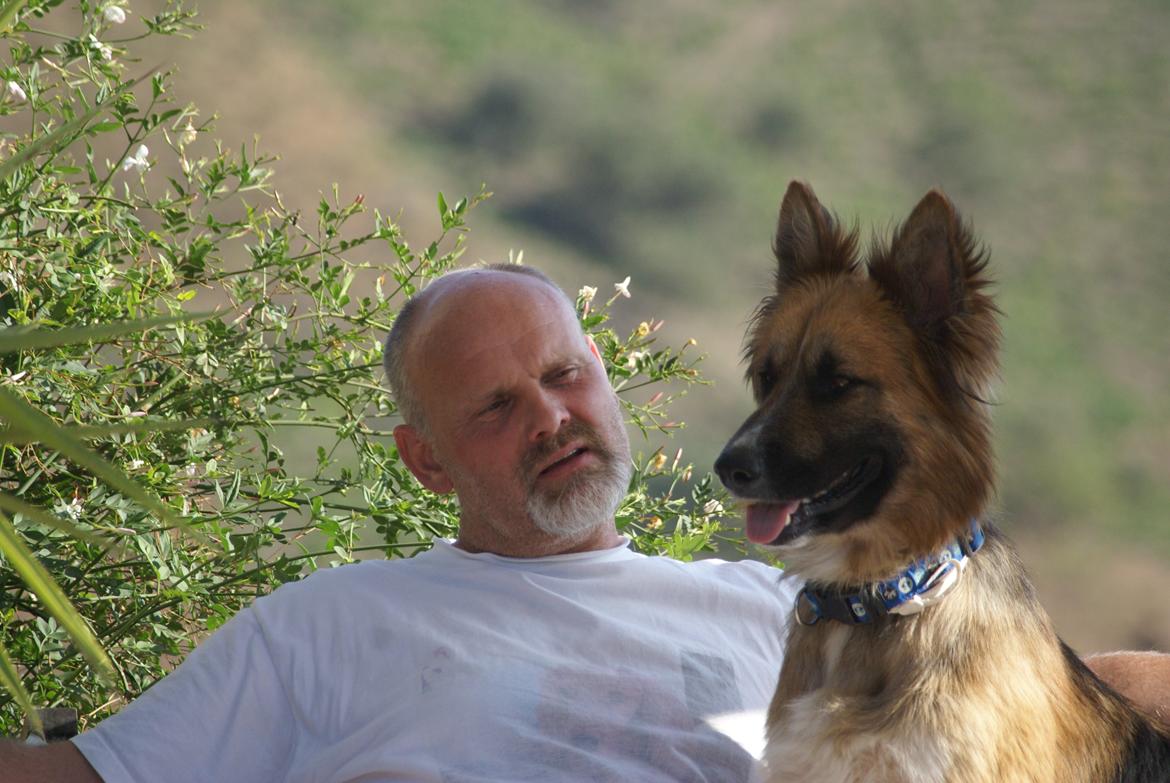 Blanding af racer Buddy billede 8