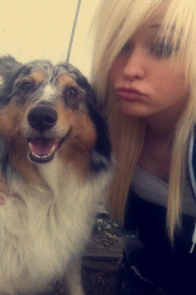 Shetland sheepdog Lassie billede 18