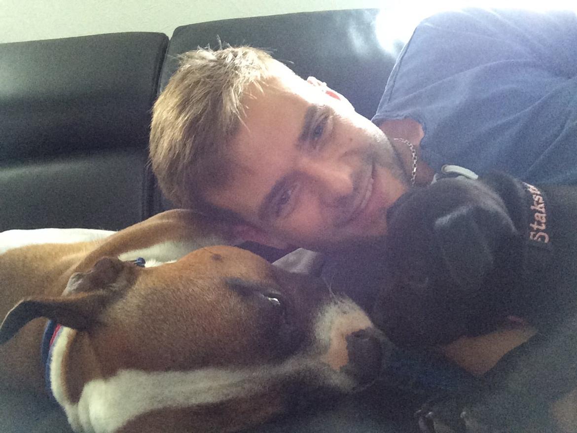 Staffordshire bull terrier Stakstons Lola Montez billede 29