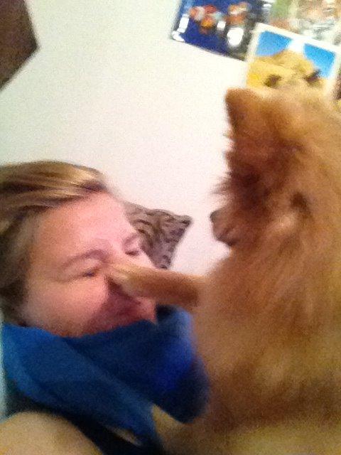 Pomeranian Naya Yasmin a.k.a. Naya - Nayas yndlings maade at faa min opmaerksomhed om morgenen..  billede 13