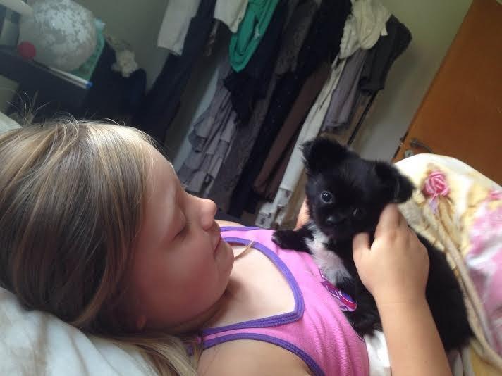 Blanding af racer Lady billede 14