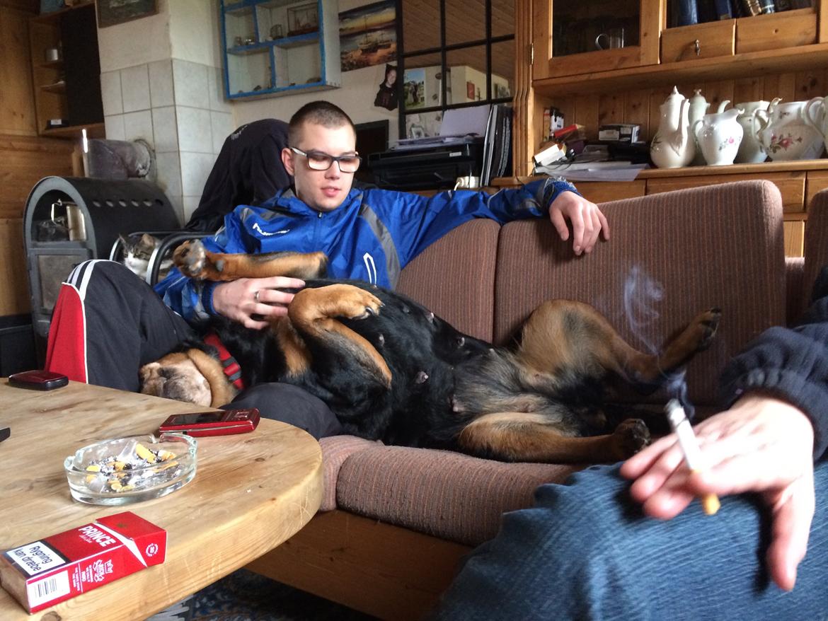 Rottweiler Mollie<3 |Molsen|<3 R.I.P Min trold..<3 billede 36