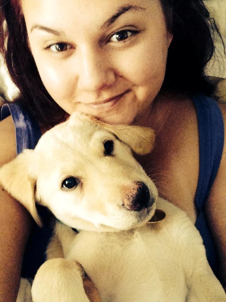 Labrador retriever Marvin billede 3