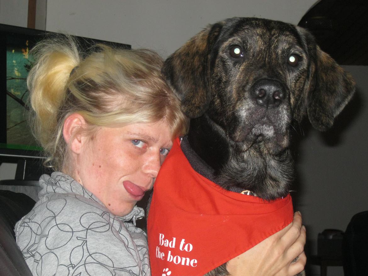 Blanding af racer Tayson billede 16