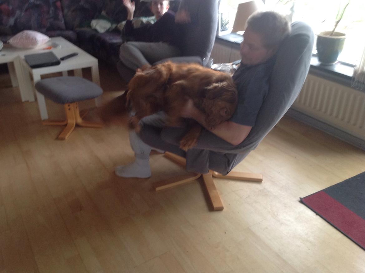 Blanding af racer Jacki billede 7